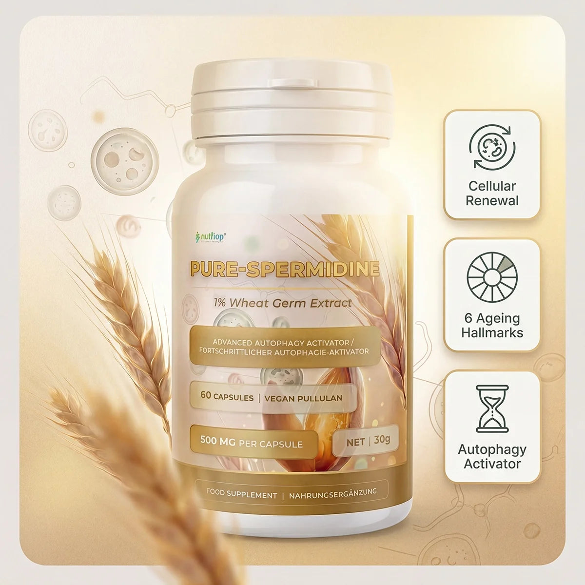 Nutriop® Pure Spermidine 10mg — Advanced Autophagy Activator (60 Capsules)